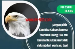 Belajar Bisnis Menjadi Pebisnis Tangguh Dari Filosofi Elang