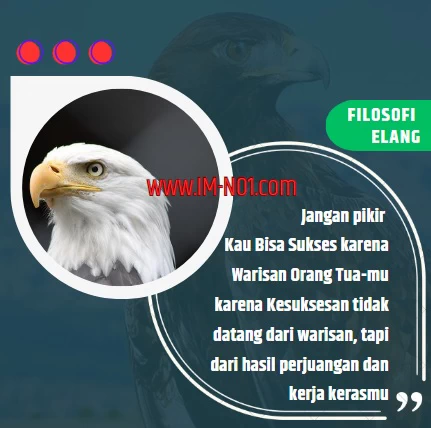 Belajar Bisnis Menjadi Pebisnis Tangguh Dari Filosofi Elang