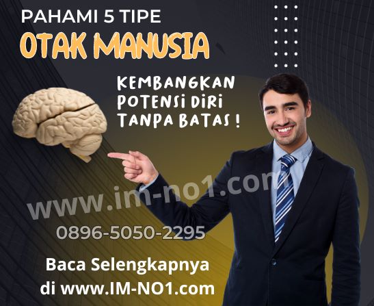 5 tipe otak manusia dan fungsinya