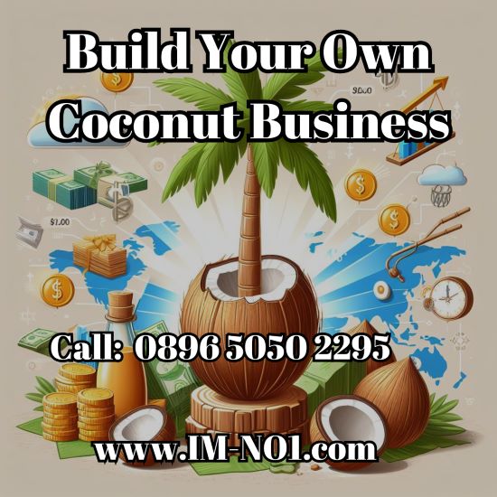 10 Steps How to Start a Coconut Business in Indonesia